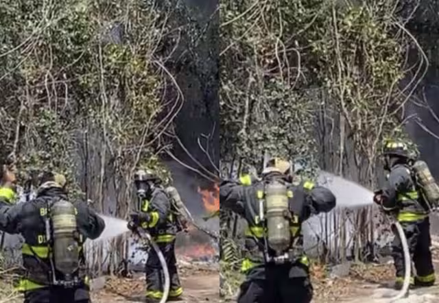 Bomberos controlaron el incendio de maleza antes de que se extendiera a viviendas