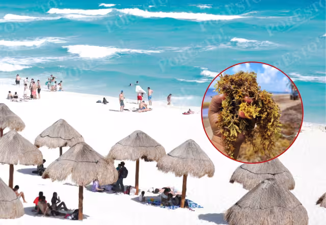 Playas con sargazo en Cancún y Playa del Carmen