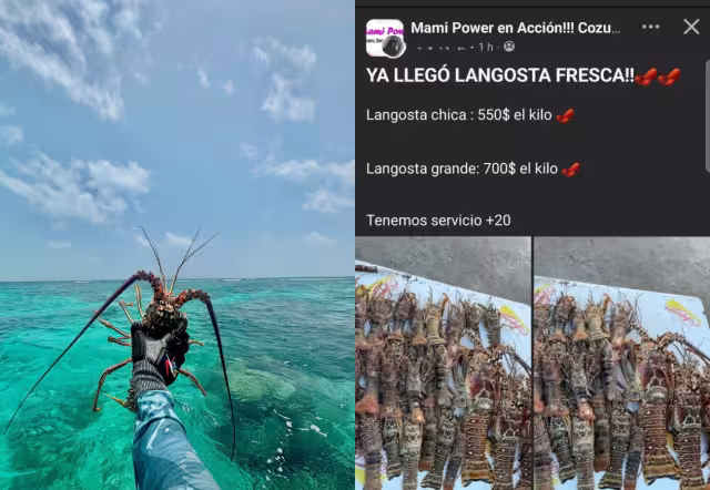 Hombres del mar dijeron que la extracción ilegal de las especies generó su declive en la zona