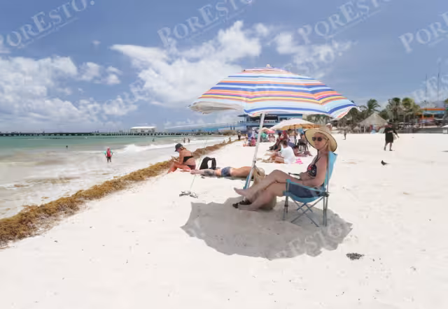 Desplegarán 500 metros adicionales de barreras anti sargazo en costas de Quintana Roo