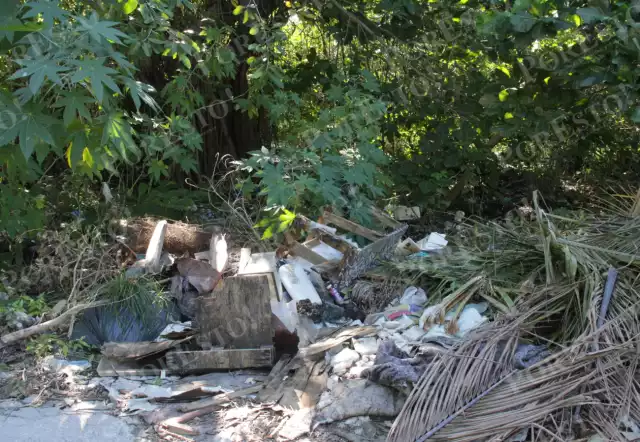 Basurero clandestino en la SM 77 de Cancún causa contaminación en áreas verdes