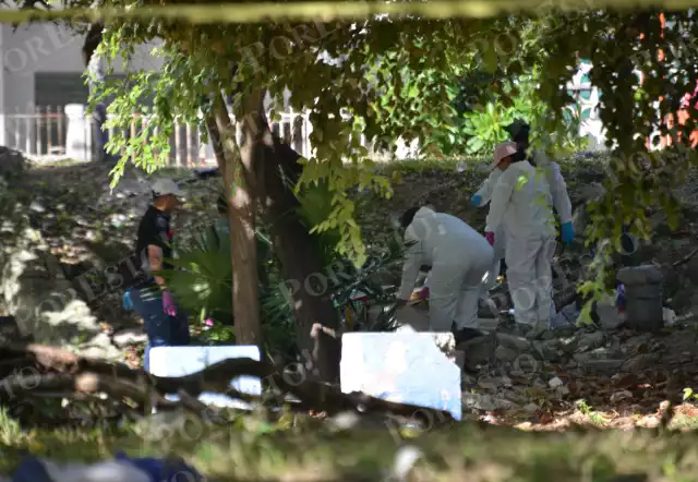 La víctima aún no ha sido identificada; vecinos señalaron que una persona en situación de calle llevó el carrito donde la hallaron dos días antes.