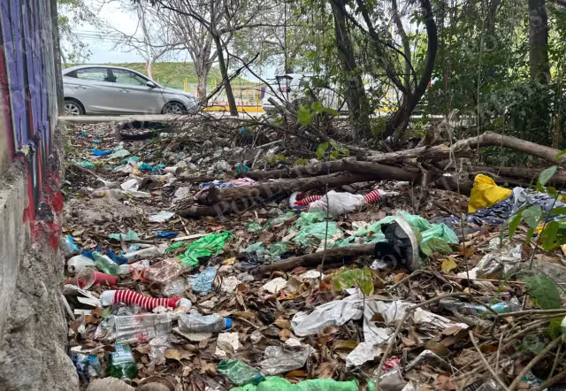 Entre bolsas reventadas y residuos de todo tipo, el lote se ha convertido en foco de infección