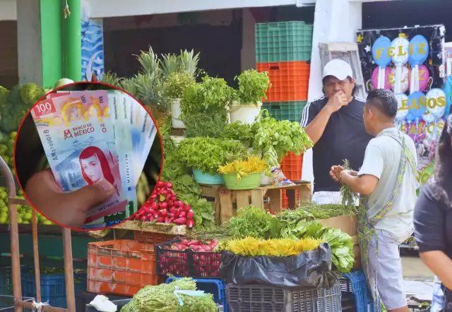 Salario mínimo 2026 en Quintana Roo