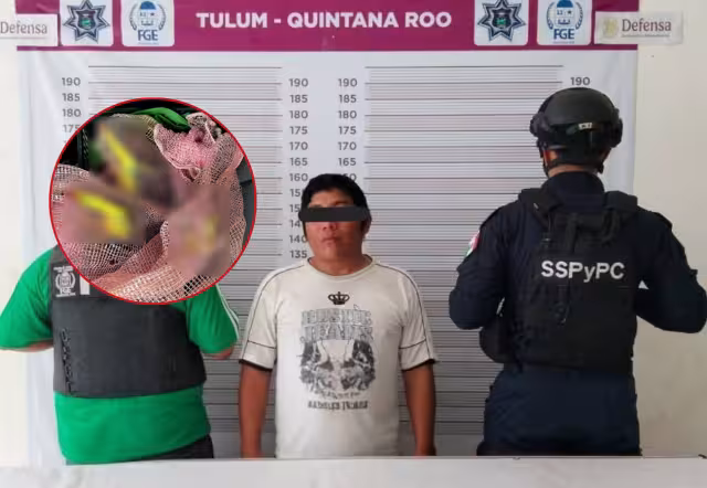 Detienen a un hombre por posesión de tres tucanes en Tulum