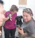 Los animales mayores de seis meses se entregan esterilizados y vacunados,