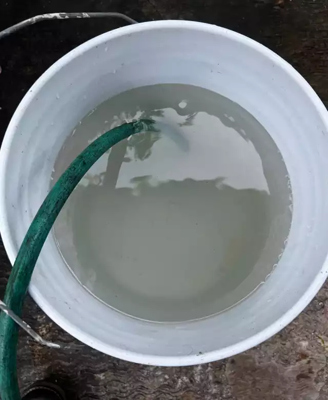 Vecinos de Nueva Reforma denuncian agua negra en la red de CAPA en Chetumal