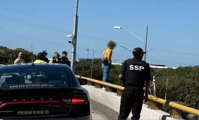 Una mujer intentó atentar contra su vida desde lo alto del paso a desnivel