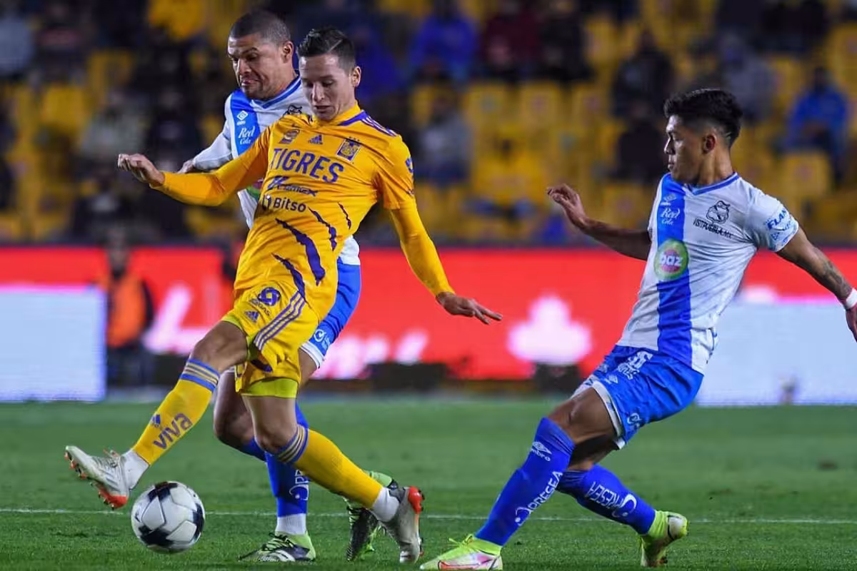 Puebla vs Tigres: Sigue en vivo el partido de la Jornada 15 del ...