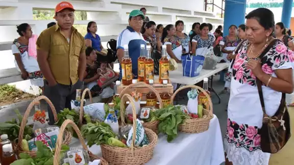 Un menor nivel de educación incide en el porcentaje de informalidad en Quintana Roo, según la Cepal