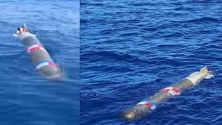Marina recupera torpedo de práctica frente a Ensenada; descarta riesgo