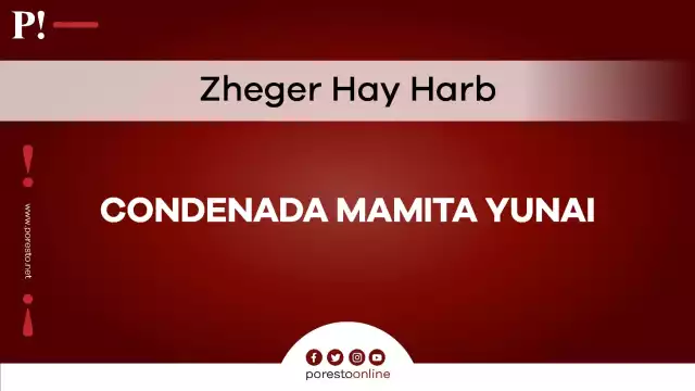 Se expresa la participación material por los paramilitares de las Autodefensas Unidas de Colombia  (AUC)