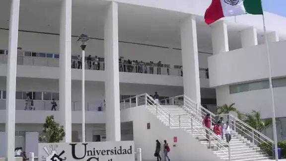 La Universidad del Caribe en Cancún ha registrado cuatro denuncias por acoso sexual y una más por hostigamiento sexual
