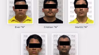 Vinculan a proceso a cinco por presunta crueldad animal en Playa del Carmen