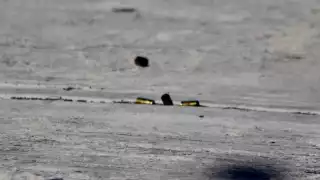 No hubo personas lesionadas ni tampoco personas aseguradas