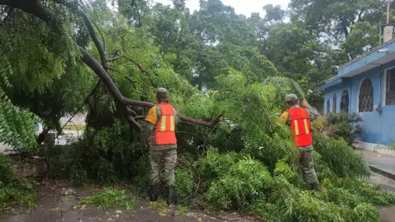 Algunos árboles caídos obstruyeron el paso en algunas vías de Chetumal, que fueron removidas por agentes de la Sedena Algunos árboles caídos obstruyeron el paso en algunas vías de Chetumal, que fueron removidas por agentes de la Sedena