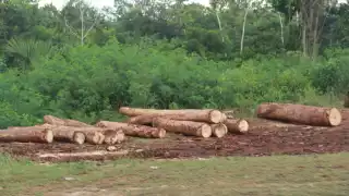 El núcleo agrario del municipio se dice abastecido para trabajar en el Tren Maya