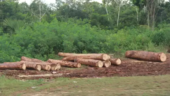 El núcleo agrario del municipio se dice abastecido para trabajar en el Tren Maya El núcleo agrario del municipio se dice abastecido para trabajar en el Tren Maya