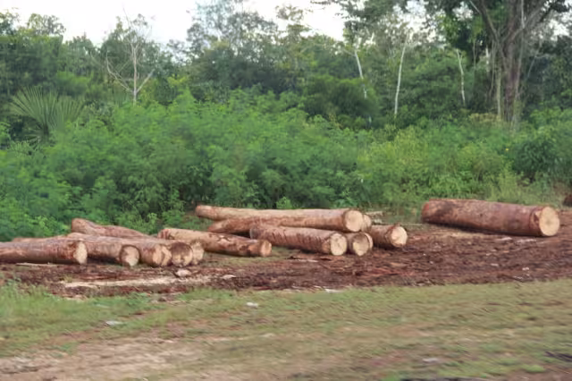 El núcleo agrario del municipio se dice abastecido para trabajar en el Tren Maya