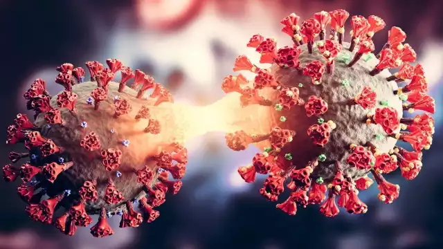 Seis entidades de México vuelven al uso obligatorio de cubrebocas