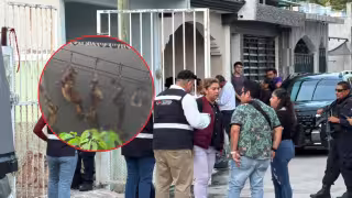¿Qué hacían colgados? Hallan siete sereques muertos en tendedero de Villas Otoch en Cancún