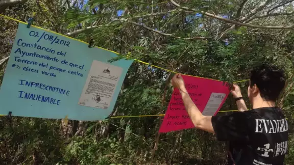 Rúben Presuel afirmó que no respetaron un documento en el que se sugería la poda y limpieza del terreno Rúben Presuel afirmó que no respetaron un documento en el que se sugería la poda y limpieza del terreno