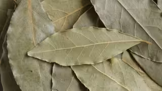 ¿Para qué sirve llevar una hoja de laurel en la funda del celular? Esto dice la tradición y la ciencia