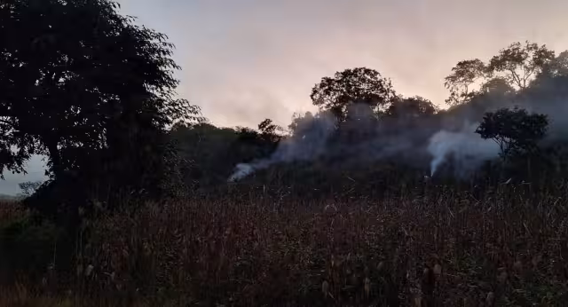 Control biológico, alternativa sustentable contra plagas en Campeche