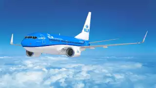 Hasta el momento, se desconocen las verdaderas causas del porqué el vuelo tuvo que cancelarse en pleno aire