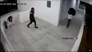 Además de los grafitis , una de las instalaciones se vio afectada por la pérdida de un perro, el cual era apreciado tanto por colaboradores como alumnos.