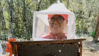 Avanzan estudios para la denominación de origen de la miel de Calakmul