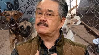 Pedro Sola visita albergue tras polémica y dona apoyo para perros rescatados