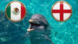 México vs. Inglaterra: el delfín Hidalgo ya eligió al ganador del partido