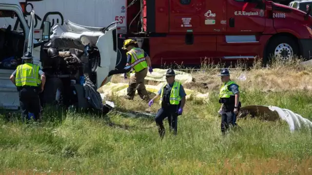 Accidente en autopista de Oregon, EU, deja 7 muertos y varios heridos