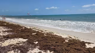 Playa Norte en Isla Mujeres vuelve a lucir bandera azul