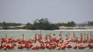 Se ofrece a turistas el servicio ecoturístico como el senderismo, el kayaking y la fotografía de la naturaleza