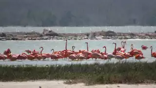 Informaron que los agrotóxicos están contaminando el manto freático