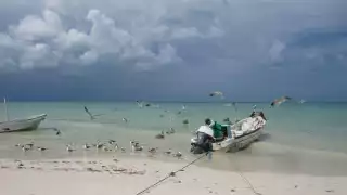Debido a las escasas capturas, los hombres de mar se dedican a la reparación o dan mantenimiento a sus embarcaciones