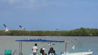 Informan que pueden ser varios los factores de contaminación