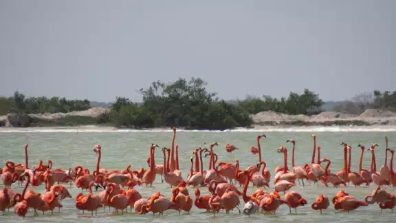 Se ofrece a turistas el servicio ecoturístico como el senderismo, el kayaking y la fotografía de la naturaleza Se ofrece a turistas el servicio ecoturístico como el senderismo, el kayaking y la fotografía de la naturaleza