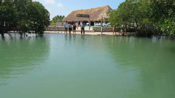 En el lugar existen varios senderos, especiales para aquellos que gustan del avistamiento de aves como el de Peten Mac, que conduce hasta un hermoso ojo de agua