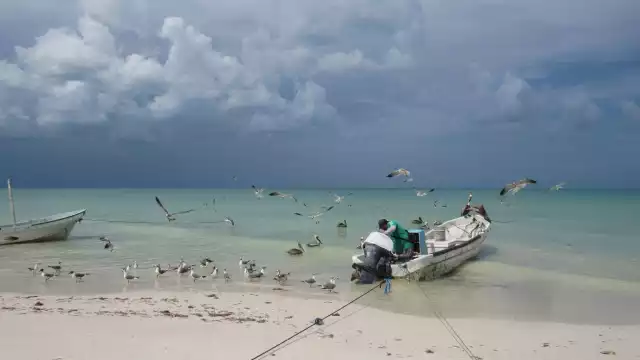 Debido a las escasas capturas, los hombres de mar se dedican a la reparación o dan mantenimiento a sus embarcaciones