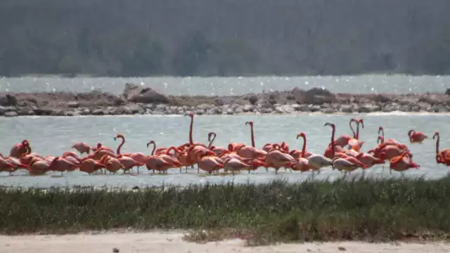 Informaron que los agrotóxicos están contaminando el manto freático