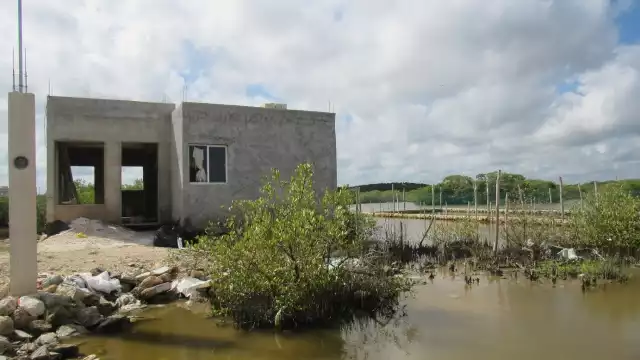 Habitantes preguntan dónde está la Semarnat que no soluciona el problemas