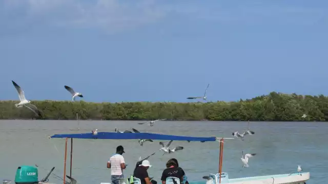 Informan que pueden ser varios los factores de contaminación