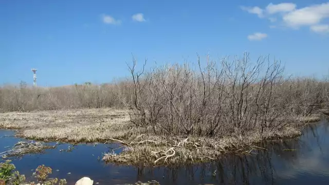La Reserva de la Biósfera de Ría Lagartos ha sido afectada de manera negativa por las actividades humanas