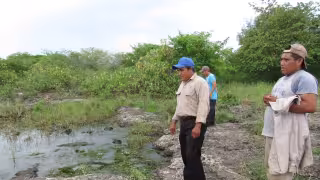   Agroquímicos desatan colapso ambiental y de salud en Yucatán: Se registra abejas muertas, agua contaminada y hallan glifosato en niños   