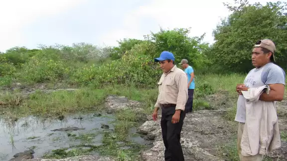 Fumigaciones aéreas contaminan el agua y afectan la salud en comunidades del Oriente de Yucatán Fumigaciones aéreas contaminan el agua y afectan la salud en comunidades del Oriente de Yucatán