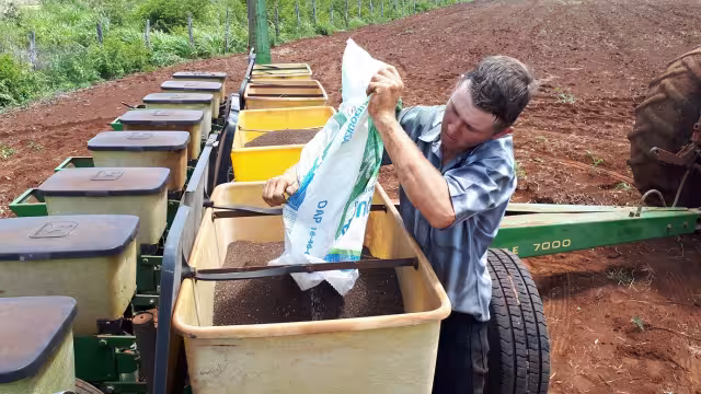 Productores aprovechan lluvias para sembrar oleaginosa en Campeche