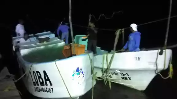 Argumentaron que algunos presidentes de las cooperativas pesqueras deciden no denunciar estos delitos Argumentaron que algunos presidentes de las cooperativas pesqueras deciden no denunciar estos delitos